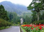 Botanical Garden Bedugul